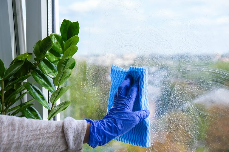 Woman in Blue Gloves Cleaning a Window Using Sprayed Liquid and micro fiber cloth wiping window from